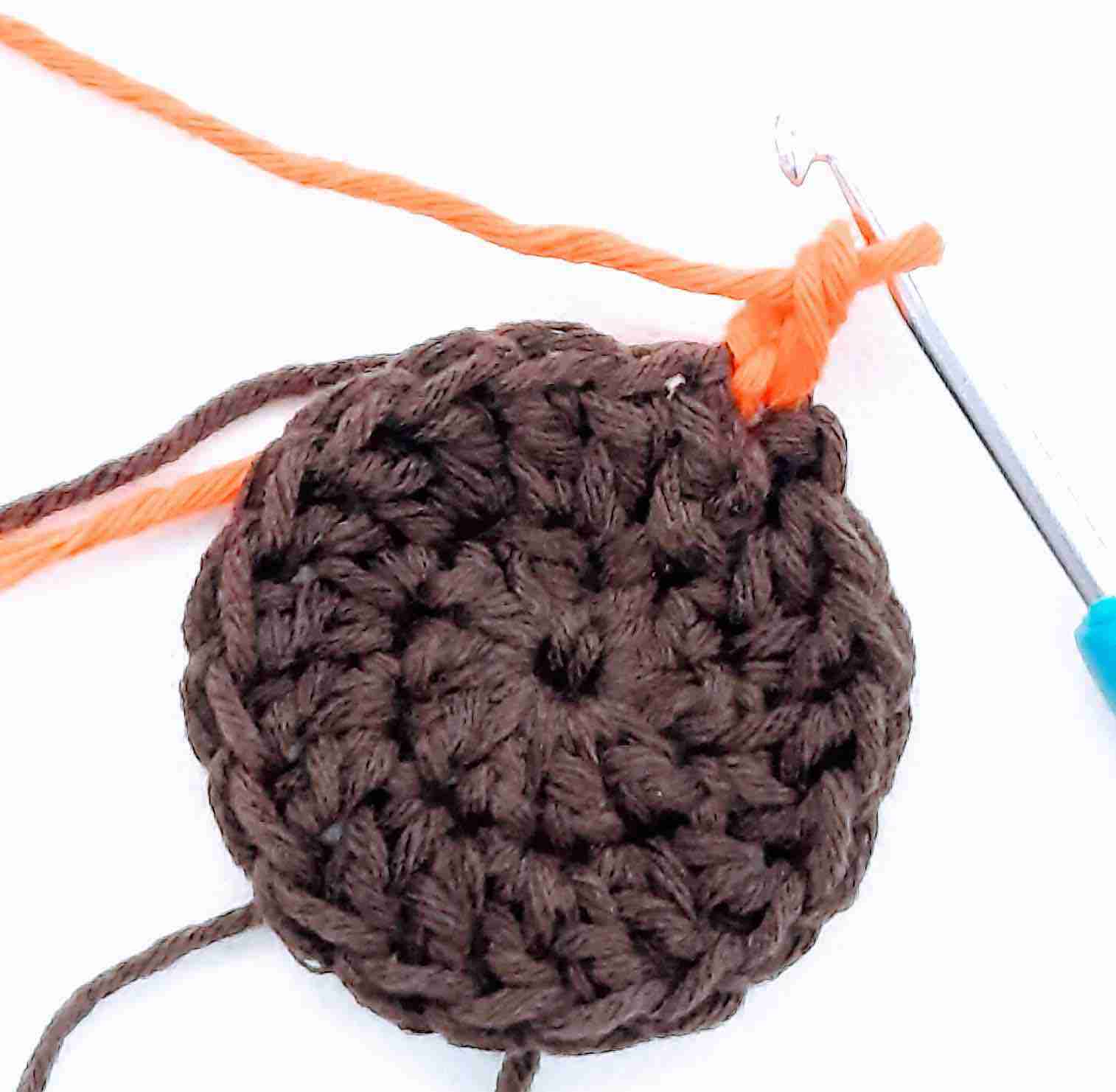 Sunflower-Crochet-Pattern-Round-3-Start-Crochet.