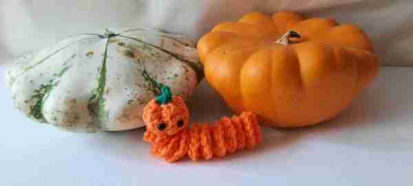 Worry Worm Crochet Pattern Pumpkin