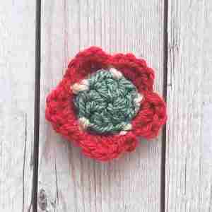 The Maybelline Flower Crochet Pattern2