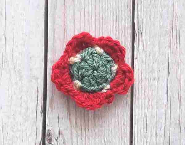 The Maybelline Flower Crochet Pattern2