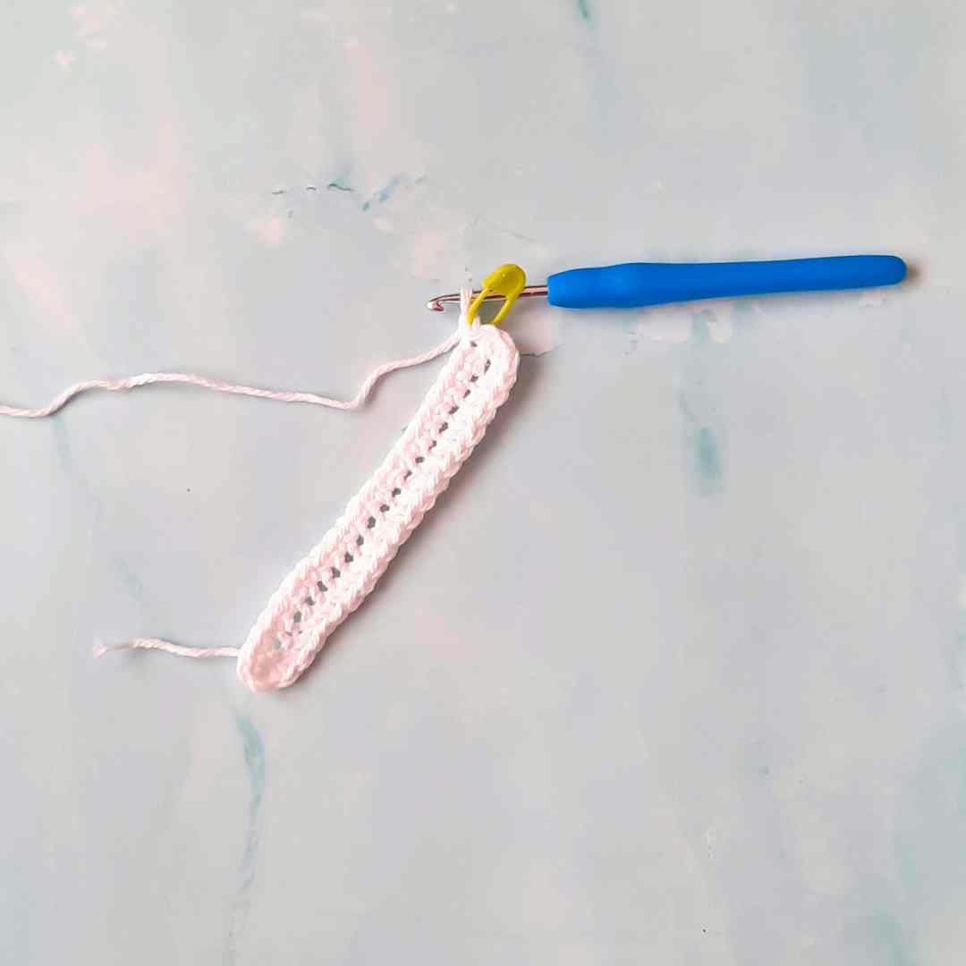 crochet wash mitt