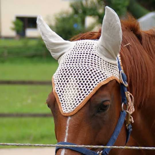 Crochet Fly Bonnet For Horses by Natascha Reim