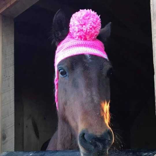 Crochet Horse Hat Pattern by OurSpoiledHorses