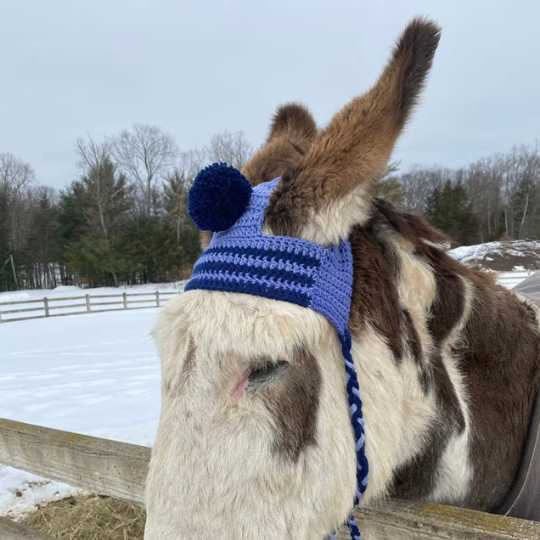 Cute Donkey Hat Crochet Pattern and Video Tutorial! For Beginners by BuildLifeBeautiful