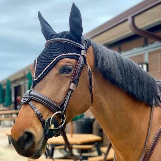 DIY Horse Bonnet Tutorial by EquiEars