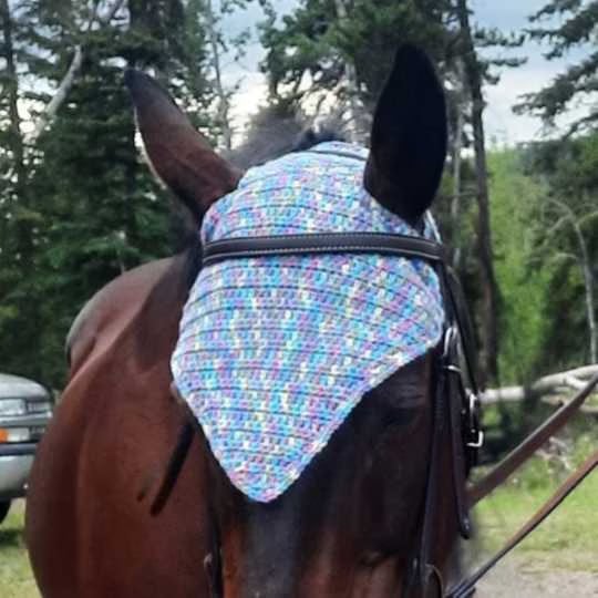 Horse Hat_Bonnet_Beanie Crochet Pattern by RazorbackTack