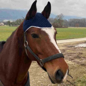 elegant navy blue horse bonnet crochet pattern