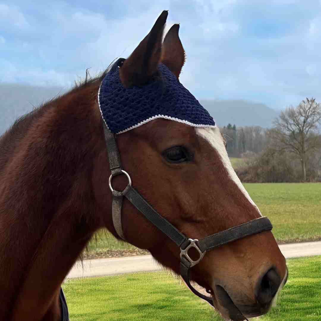 blue elegant crochet horse ear bonnet