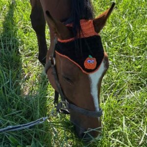 Halloween horse bonnet pattern free