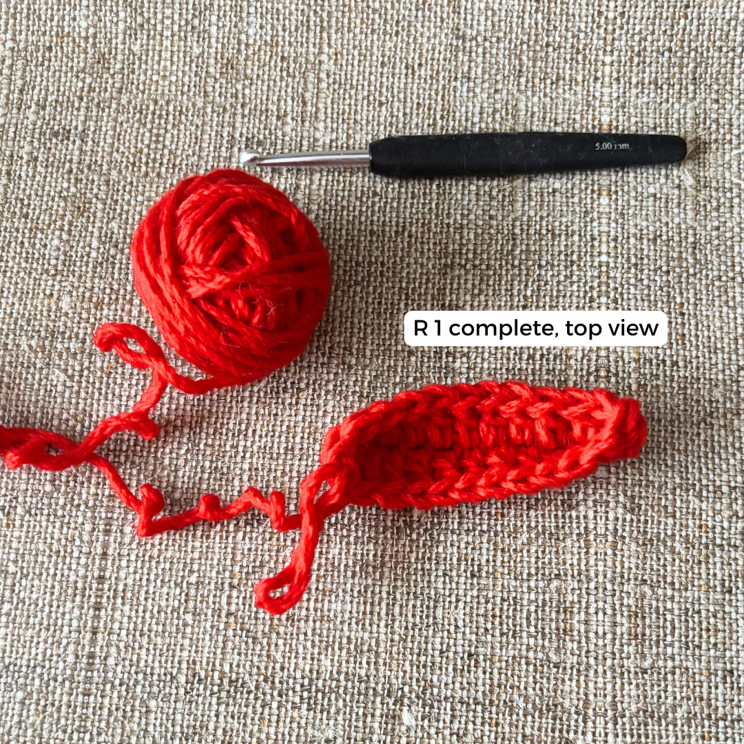 Santa Eyeglasses Pouch Crochet Pattern for Beginners Free