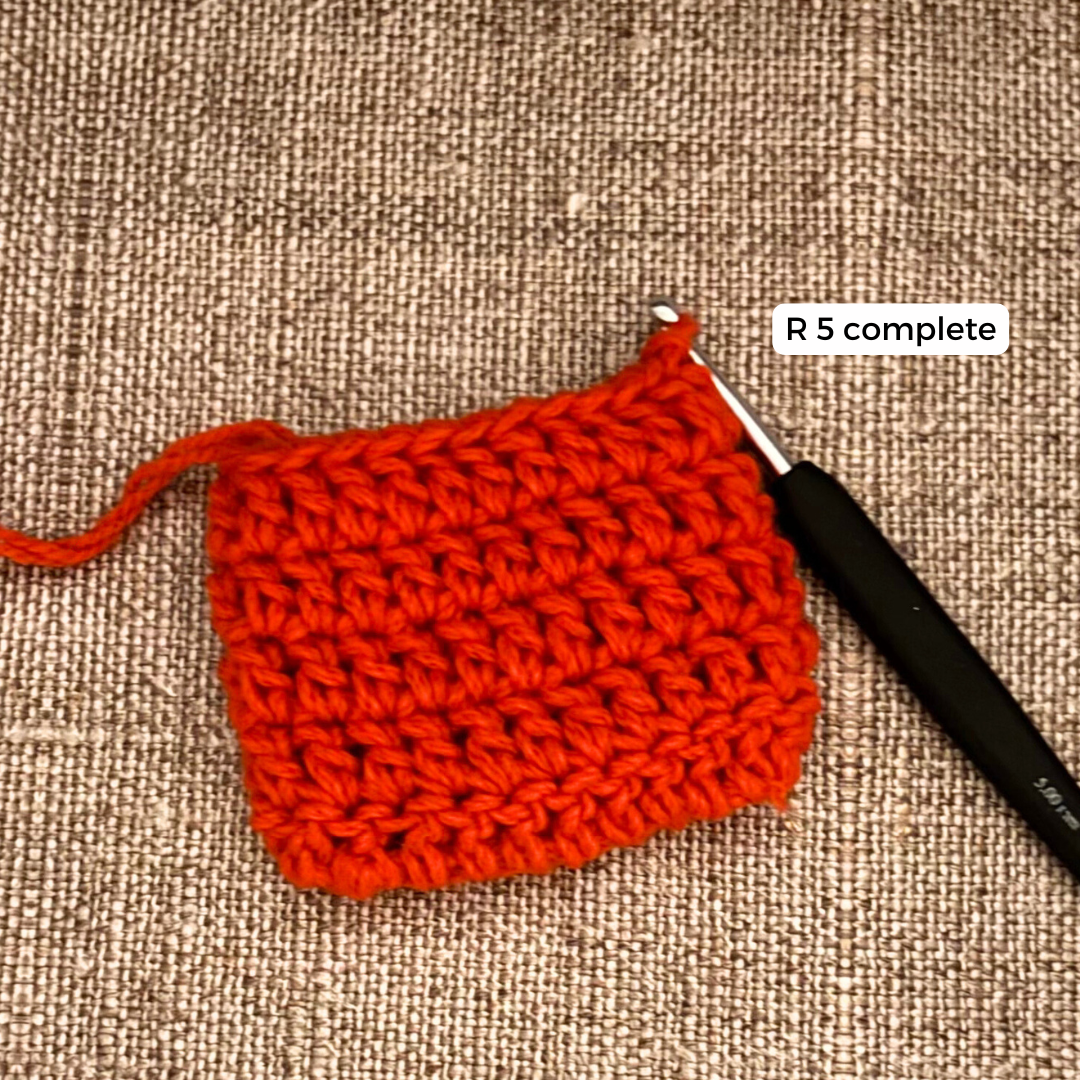Santa Eyeglasses Pouch Crochet Pattern for Beginners Free