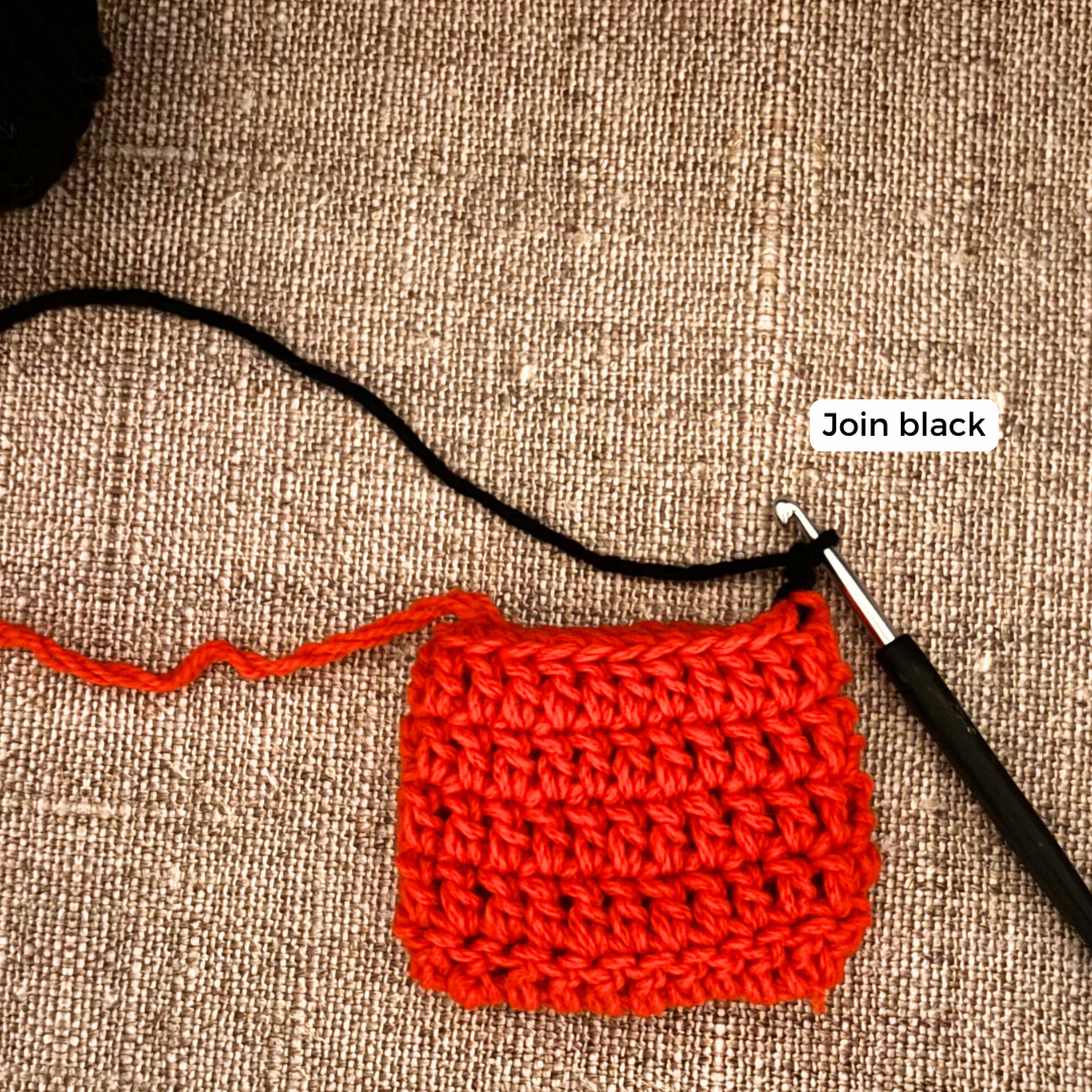 Santa Eyeglasses Pouch Crochet Pattern for Beginners Free