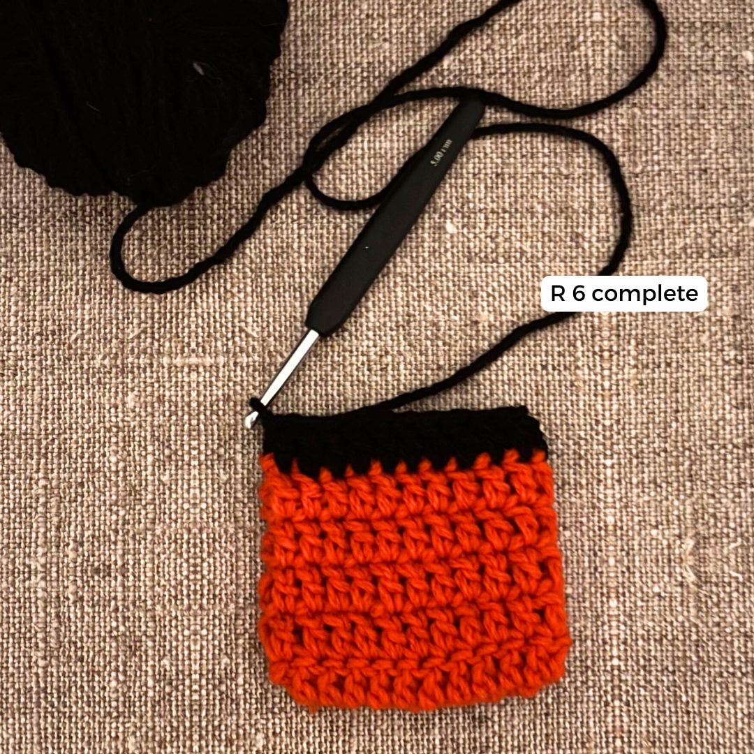 Santa Eyeglasses Pouch Crochet Pattern for Beginners Free
