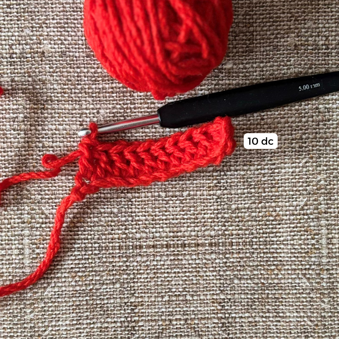 Santa Eyeglasses Pouch Crochet Pattern for Beginners Free