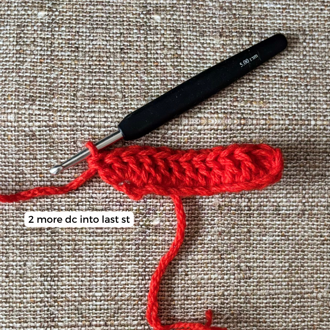 Santa Eyeglasses Pouch Crochet Pattern for Beginners Free