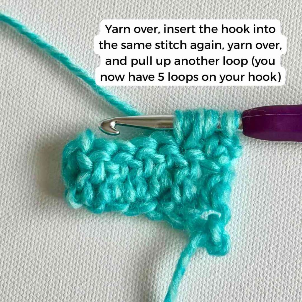 How to Crochet the Puff Stitch for Beginners (Step by Step Tutorial ...