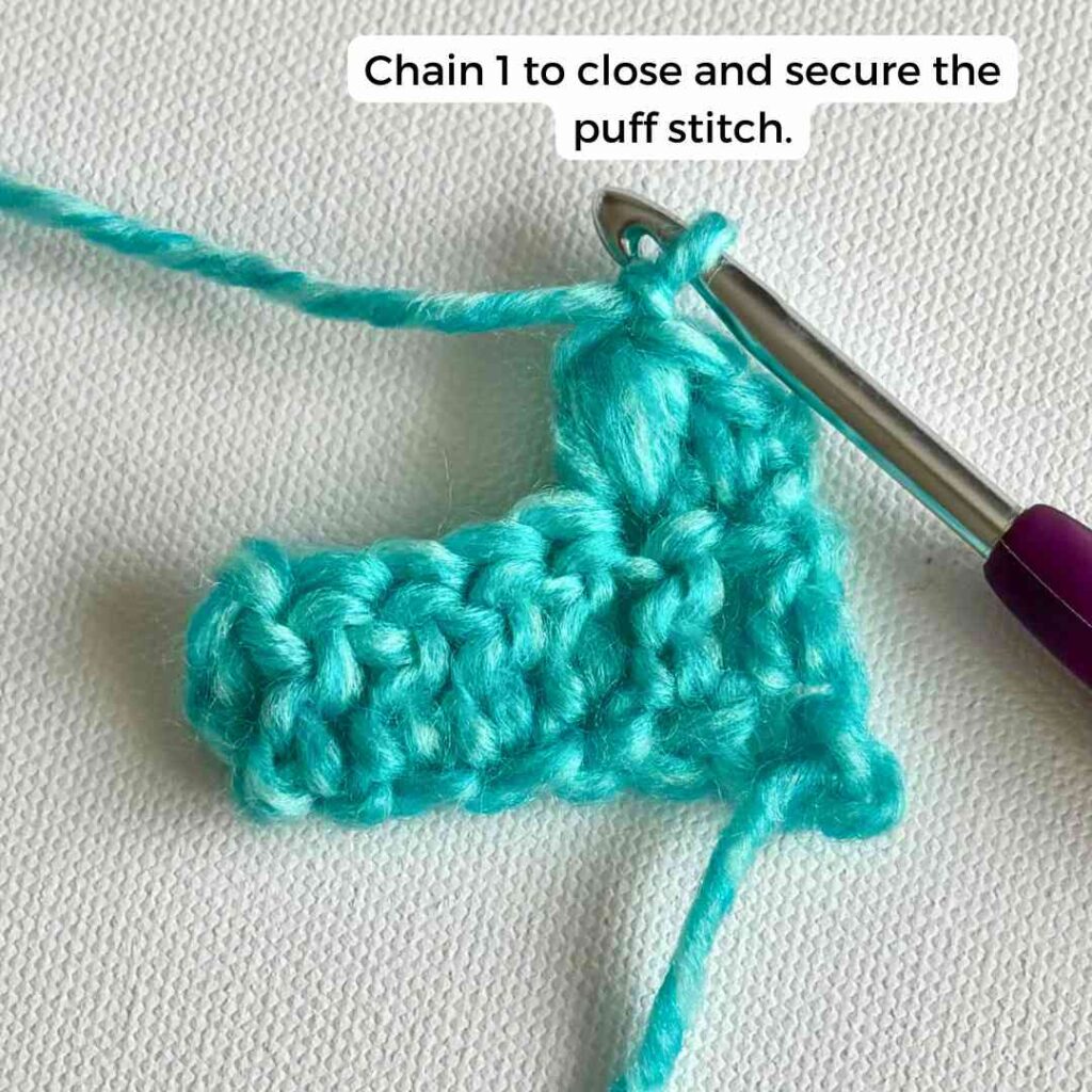 How to Crochet the Puff Stitch for Beginners (Step by Step Tutorial ...