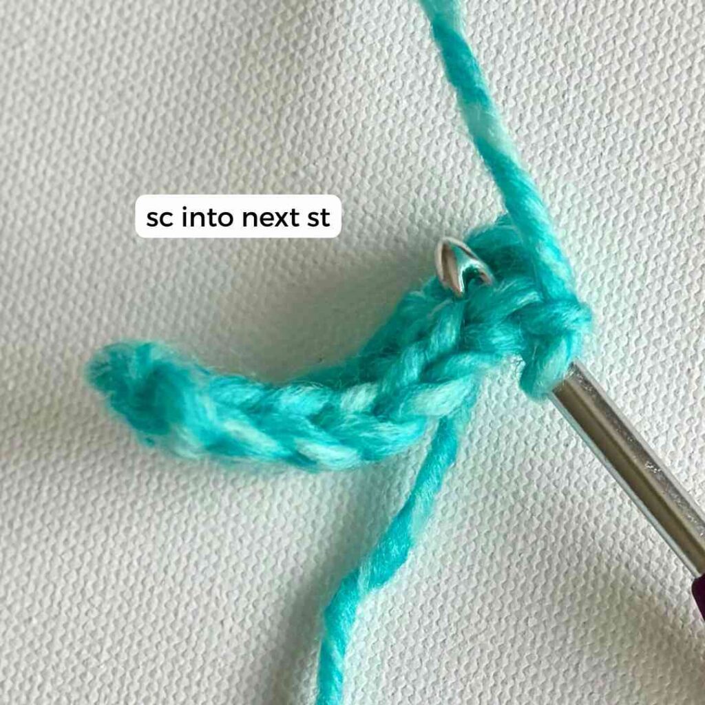 How to Crochet the Puff Stitch for Beginners (Step by Step Tutorial ...