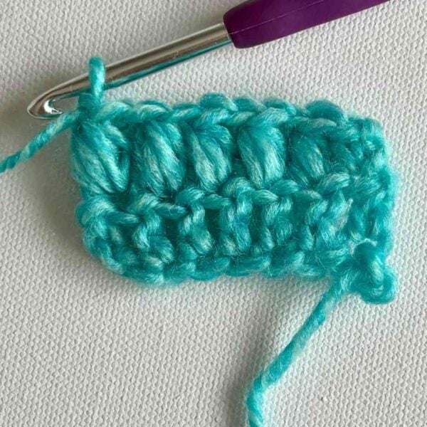 How to Crochet the Puff Stitch for Beginners (Step by Step Tutorial ...