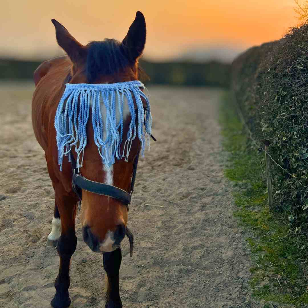 Horse Fly Fringe Crochet Pattern (Printable PDF) - Image 4