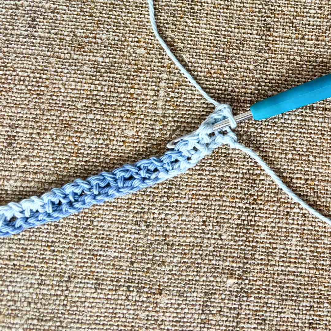 horse fly fringe crochet pattern