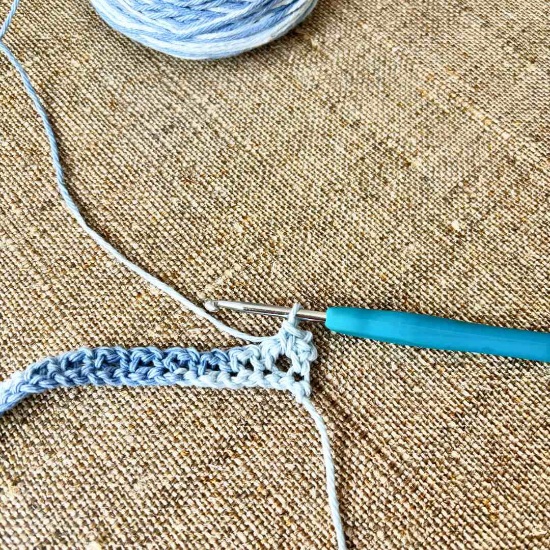 horse fly fringe crochet pattern
