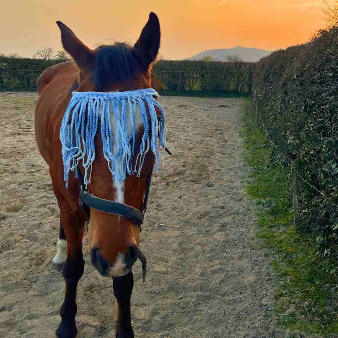 Horse Fly Fringe Crochet Pattern Product Photos