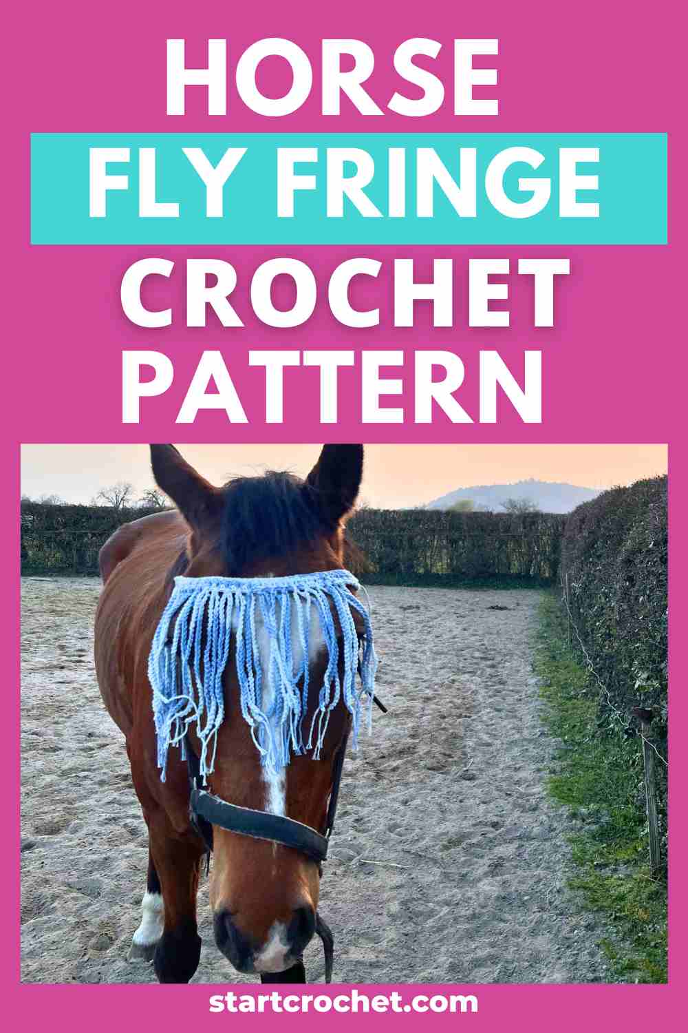 Horse Fly Fringe Crochet Pattern easy