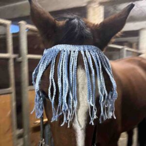 Horse Fringe Crochet Pattern Free