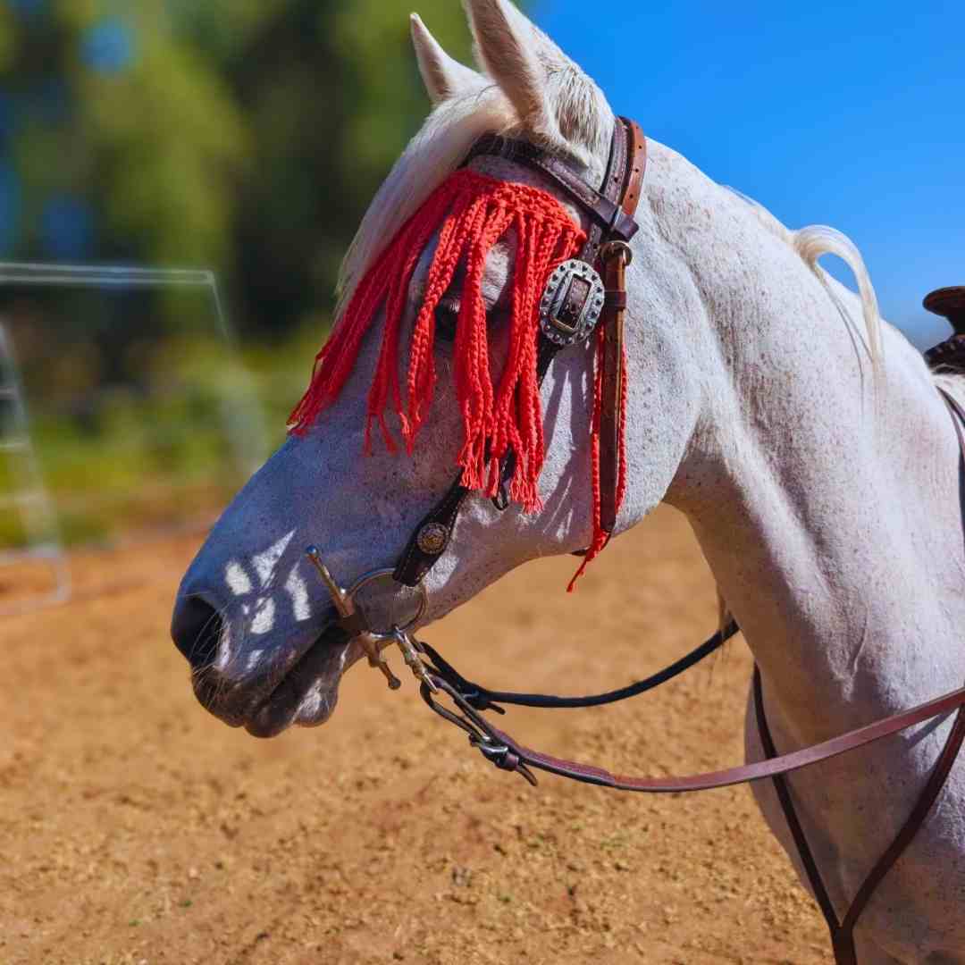 Horse fly fringe crochet pattern (Jenn Hull) (2)