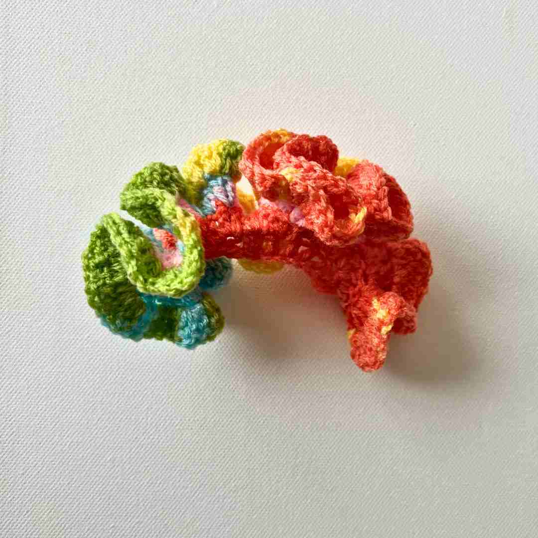 Hyperbolic Crochet Example
