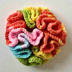 Hyperbolic Crochet rounds