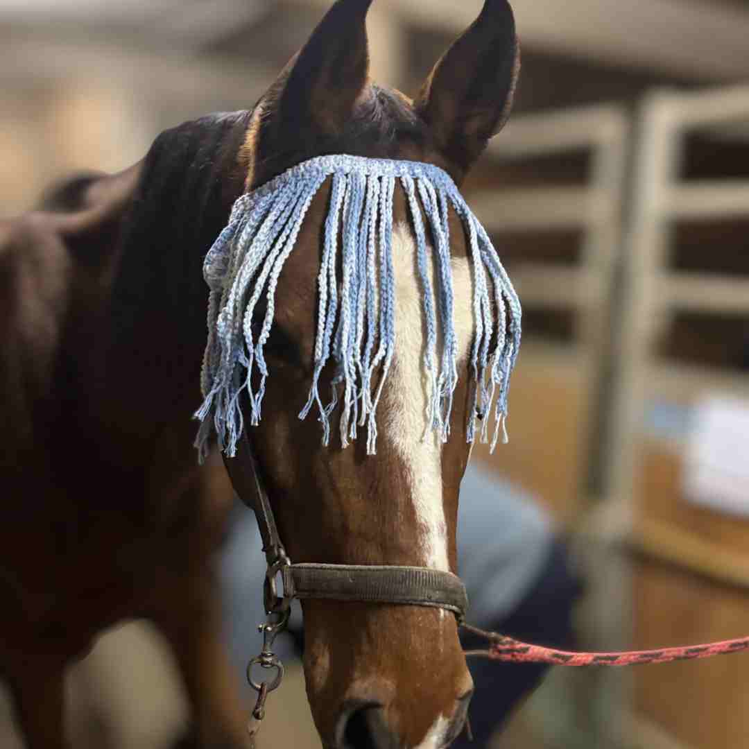 crochet horse fly fringe pattern