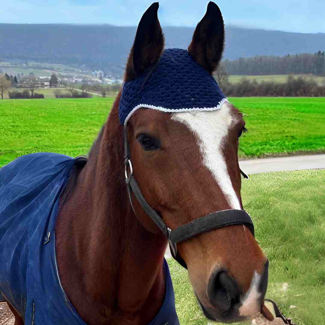 elegant blue horse bonnet crochet pattern