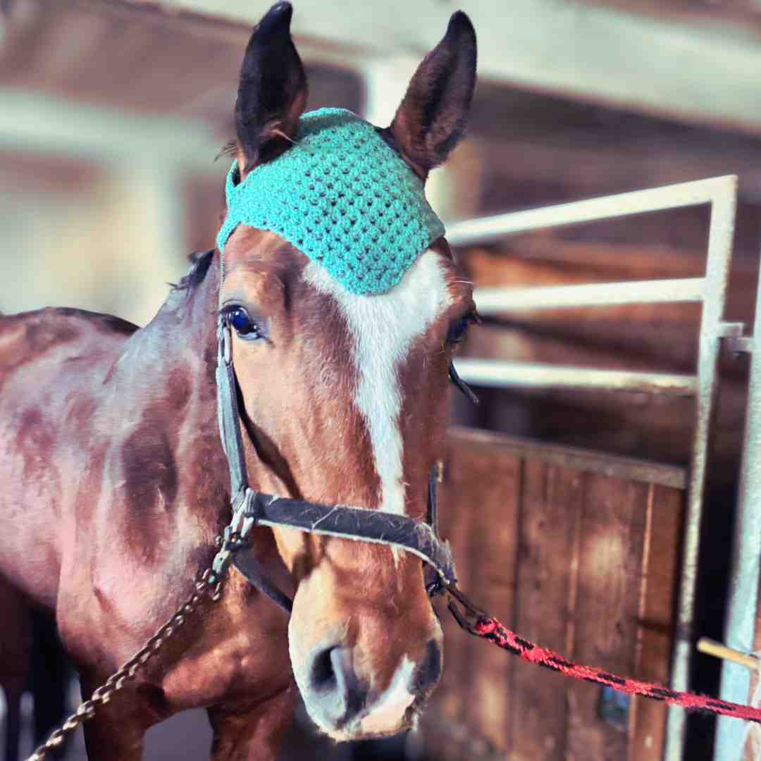 granny horse bonnet crochet pattern