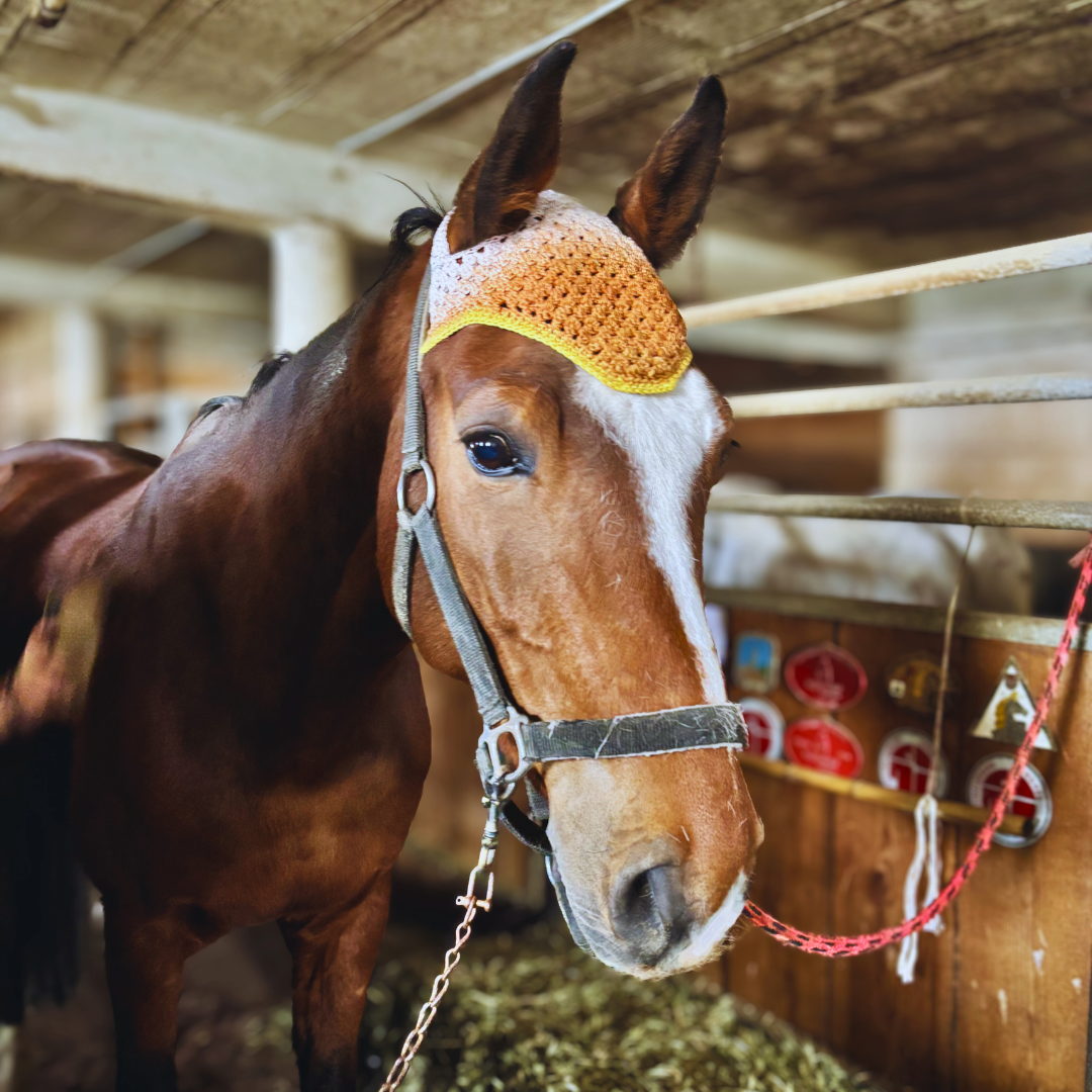 Granny Stitch Horse Bonnet Crochet Pattern PDF – Crochet Fly Bonnet - Image 8