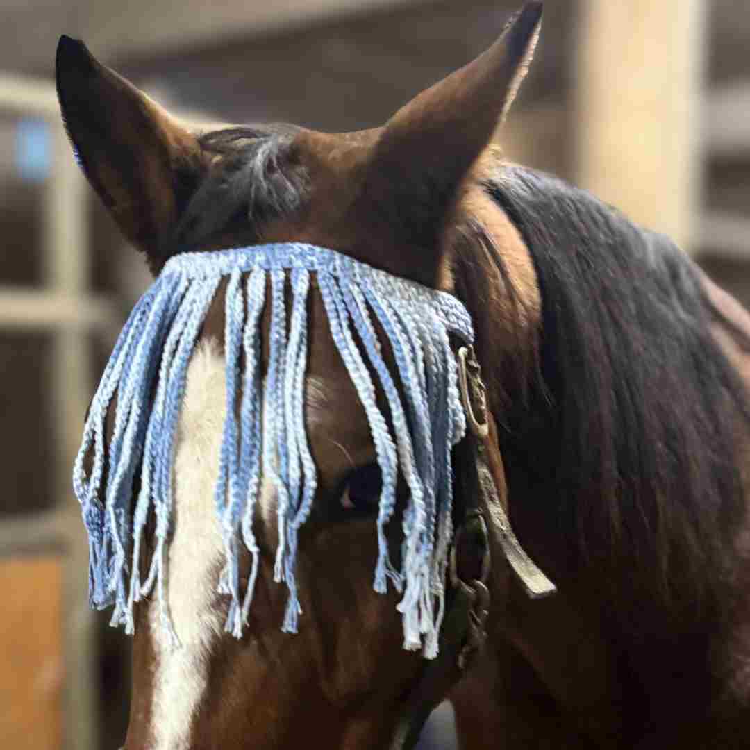 horse fly fringe crochet pattern