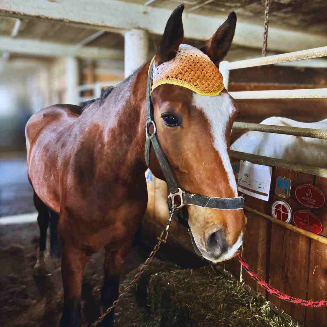 how to crochet granny stitch horse bonnet crochet pattern (1)