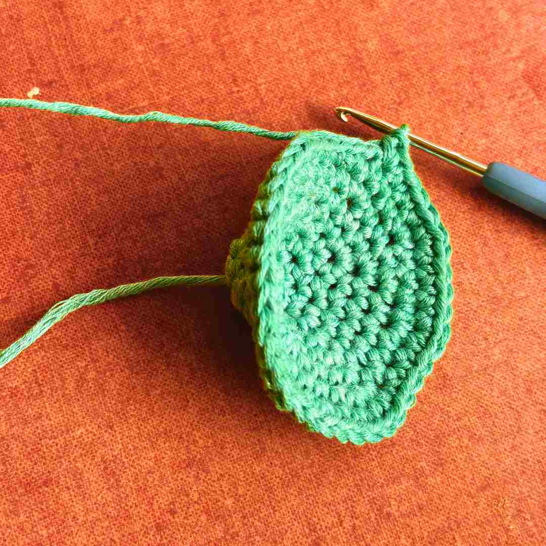 hyperbolic crochet pattern for beginners (8) hyperbolic crochet pattern for beginners (8)