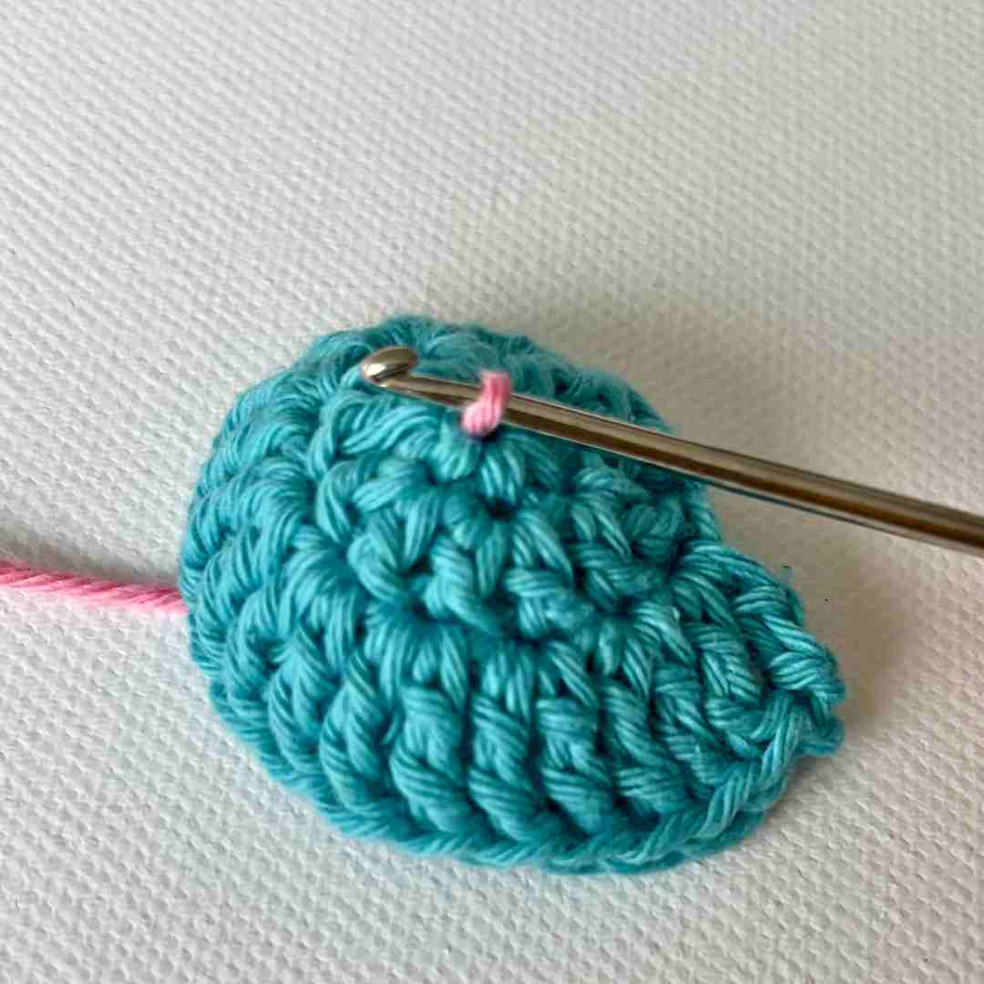 Spiral Seashells Crochet Pattern (10)