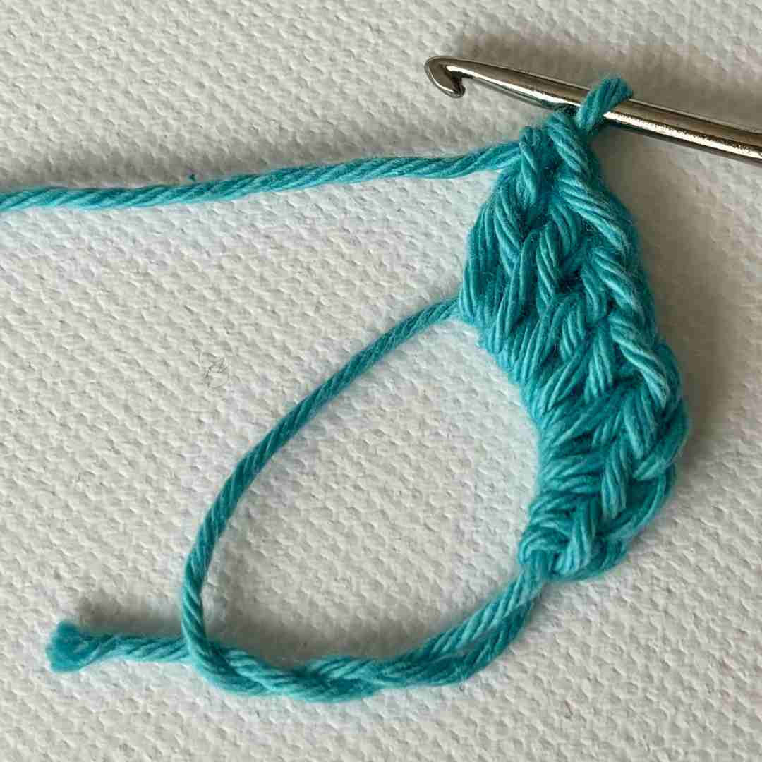 Spiral Seashells Crochet Pattern (2)