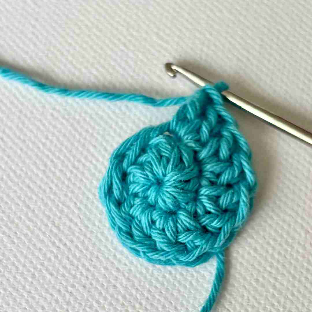 10 sts (5 dc increases)