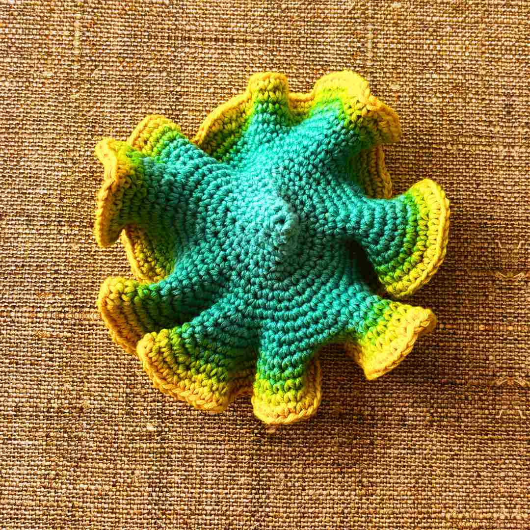 hyperbolic crochet pattern for beginners (10) hyperbolic crochet pattern for beginners (10)