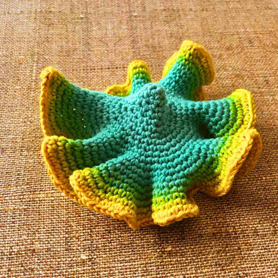 hyperbolic crochet pattern for beginners (11) hyperbolic crochet pattern for beginners (11)