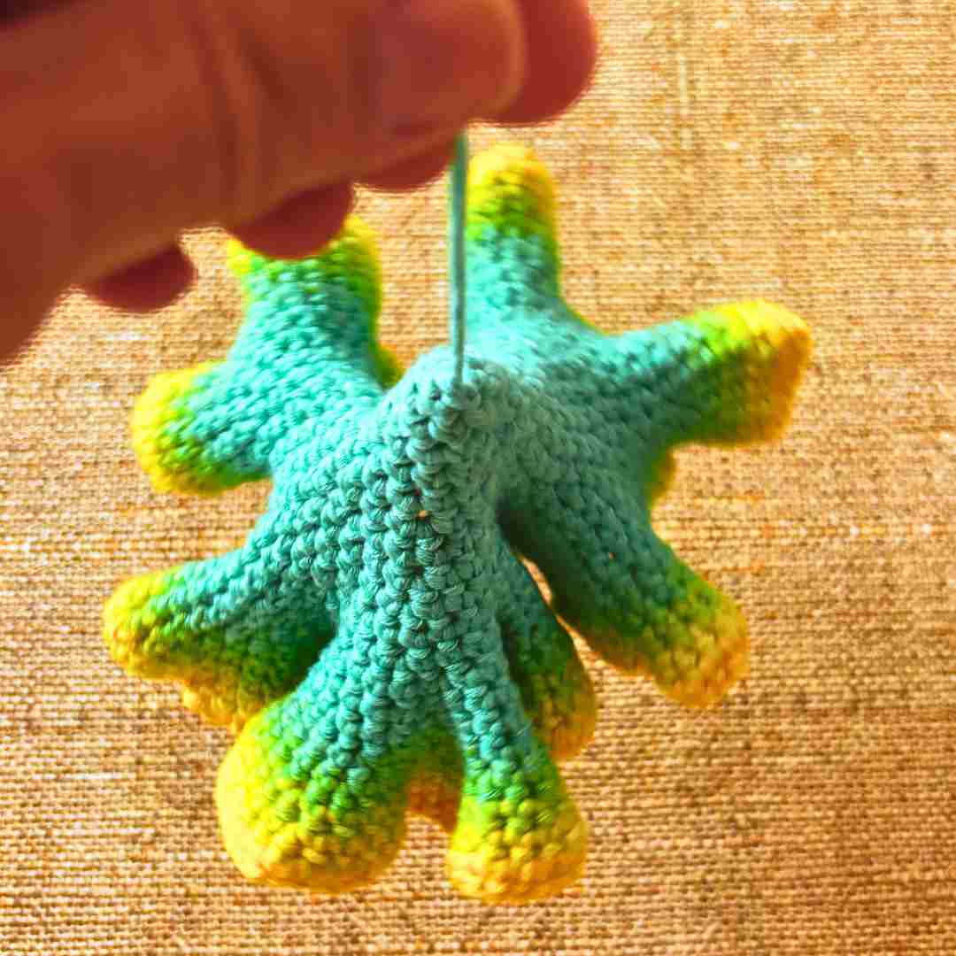hyperbolic crochet pattern for beginners (20) hyperbolic crochet pattern for beginners (20)