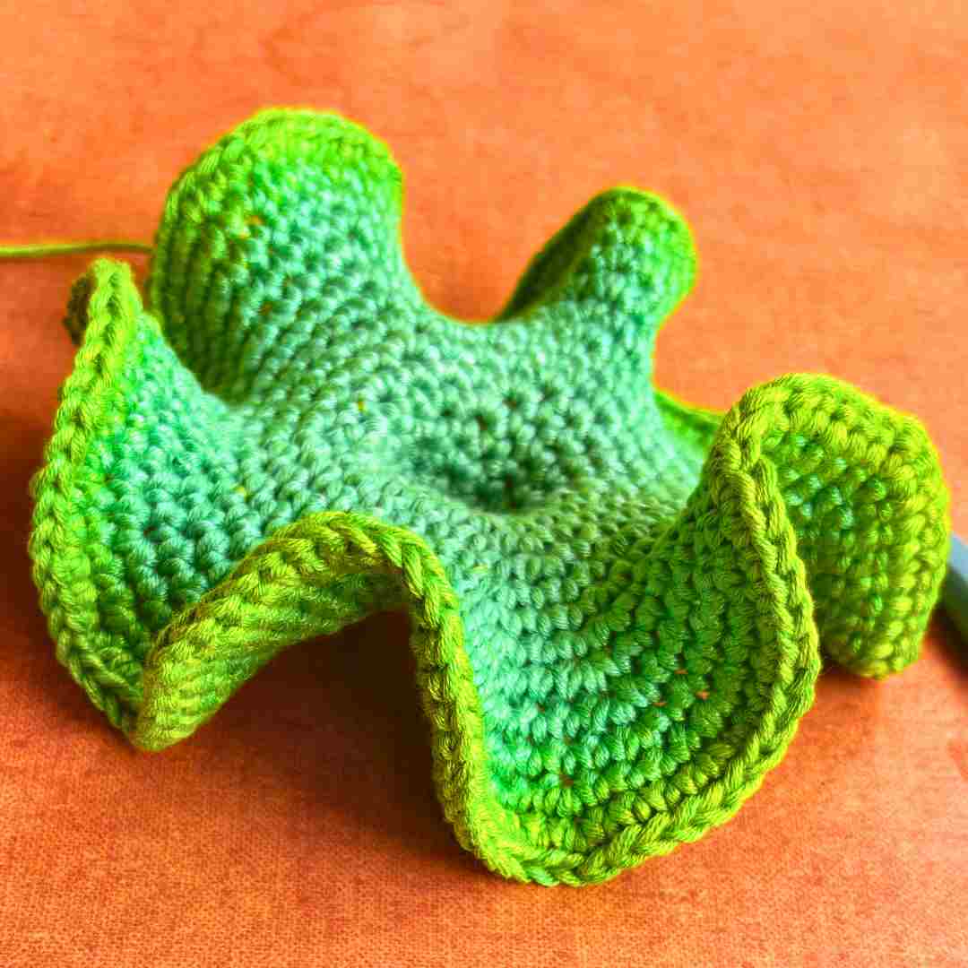 hyperbolic crochet pattern for beginners (5) hyperbolic crochet pattern for beginners (5)