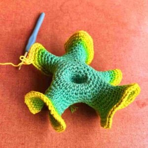 hyperbolic crochet pattern for beginners (8)