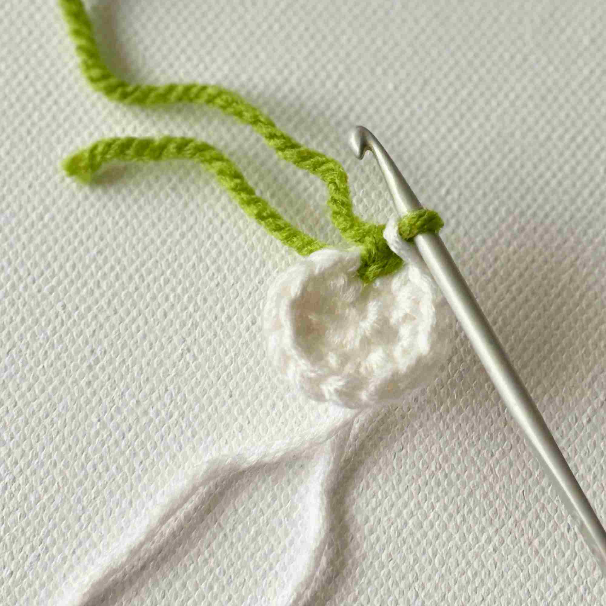 5 kiwi crochet pattern kiwi crochet pattern for beginners